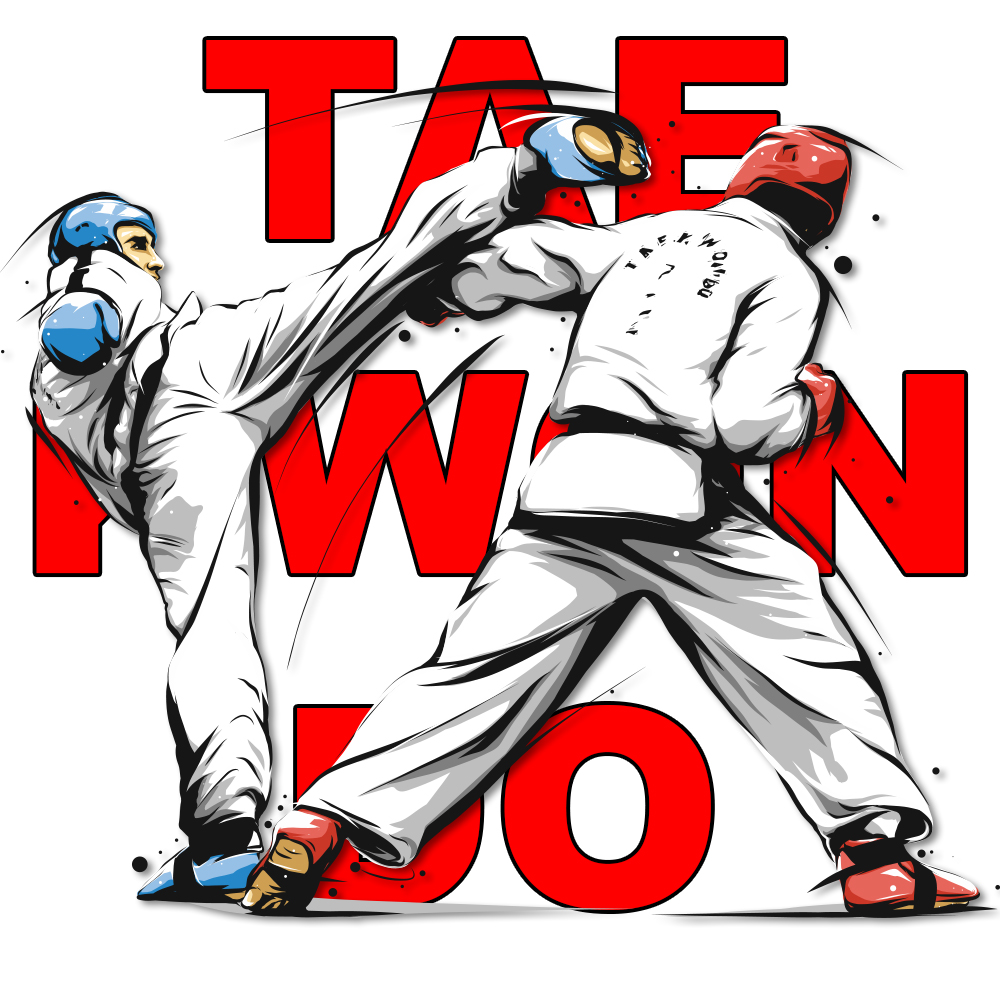 tae kwon do program